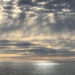 Au bord de mon chemin