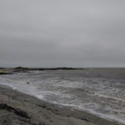 Au bord de mon chemin